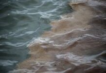 Fuel spill clean-up in Norilsk Russia
