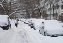 Москва и область готовятся к зимним погодным условиям: важная информация для жителей Последствия снегопада в Москве