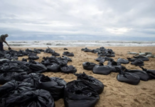 ee598b50-3f63-43b8-8f57-7404bd53d74e-67b5c6a2