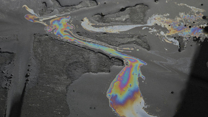 Куренков доложил Путину о мерах по ликвидации ЧС с разливом мазута на Кубани