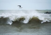 Анализ причин морского инцидента с танкерами в районе Керчи: погодный фактор как ключевой аспект Stormy weather in Crimea