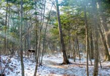 06933596-684e-40c1-b005-26a76b42cba6-67dd9181