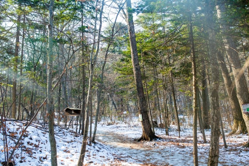 Фото: primamedia.ru