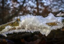 10eb8801-c13f-4da2-9363-9500ca623b1c-67e58f8e