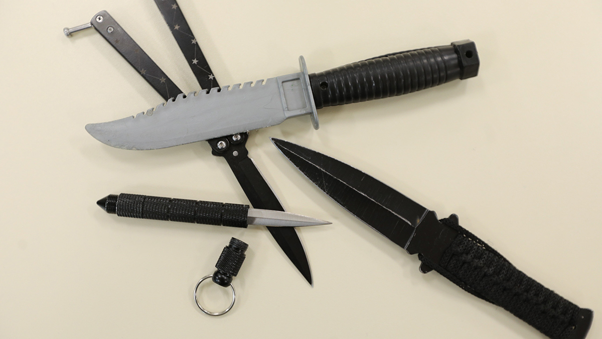 Подозреваемый раскрыл, как убил женщину и спрятал труп в машину Гоши Куценко