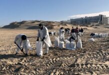 4415cd1a-415b-47ca-b6e2-9b4062f737ad-67e41158