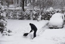 Позитивный прогноз погоды для Ленинградской области 61d067d5-4c6e-42b0-bbd7-b6720c5a32e5-67d7220e