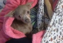 63c637f8-2315-4125-b46b-2150ec3b3160-67dc02c9