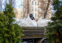 Высадка крупномерных деревьев в Леонтьевском переулке