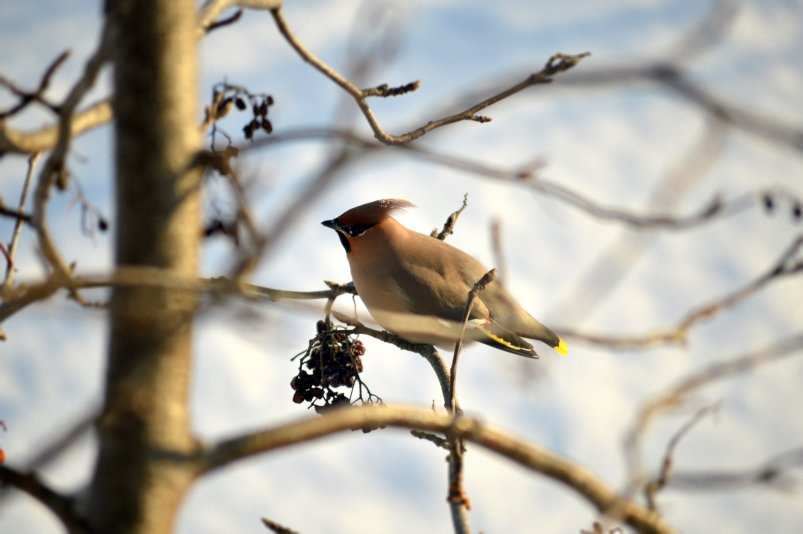 Фото: primamedia.ru