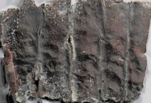 Древние таблички с уникальными надписями обнаружены в римском некрополе 7dabd7e2-1f2c-4225-865f-8aa970a72d84-67e32599