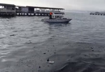 8295b8ce-0c30-4e27-b077-87525bbcae58-67d878d3