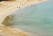 Удивительная находка в мангровых зарослях Таиланда вызвала ажиотаж среди местных жителей a126622c-683c-4d86-9d6d-3a27350571de-67e28dea