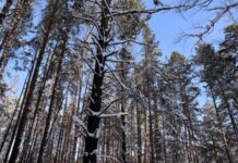 a6f34845-a3ca-4427-a831-2d58d64ac8b2-67e570b5