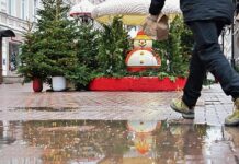 Необычайно мягкая зима в России: уникальное природное явление радует жителей страны c0e5faf4-b965-4a6d-ad45-0155757c0726-67d52792