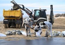 Масштабная экологическая операция по очистке пляжей Керченского пролива cbed14ef-1f64-4b49-844f-f0bc3e382fb7-67e002e7