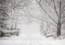 В Тюменской области ожидается мягкий и снежный конец зимы cc5974d8-37e8-489f-ad32-18646c6f9691-67d9cad1