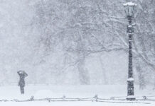 Оперативное восстановление электроснабжения в Новгородской области после зимней непогоды Snowstorm Girl in the city park Heavy snow in the city Park Winter background