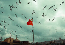 «Катастрофа в сердце Европы»: Турция бьет тревогу и требует остановить кровопролитие на Украине dede5f8e-bee3-4bfe-bc01-200329dc2cf0-67ca0ca2