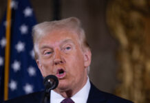 Жители Гренландии проявили интерес к инициативе Трампа о покупке острова ef143a92-74c5-4c34-81d0-e04511a36ac6-67d412c5