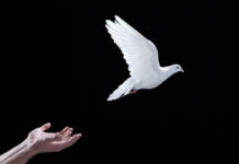 Поворотный момент США в украинском урегулировании f21c9661-12ee-4153-9dbf-78c551f1f235-67e32df9