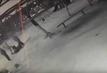 В Бурятии предъявлено обвинение подросткам, причастным к нападению на советника мэра Улан-Удэ fa1bfe03-a051-4373-9113-61dbc5773a06-67d2d465