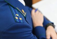 Правоохранители расследуют трагический инцидент с работниками лесничества fc2671c2-ebca-46c5-b814-daf3afe1cd36-67ed4a66