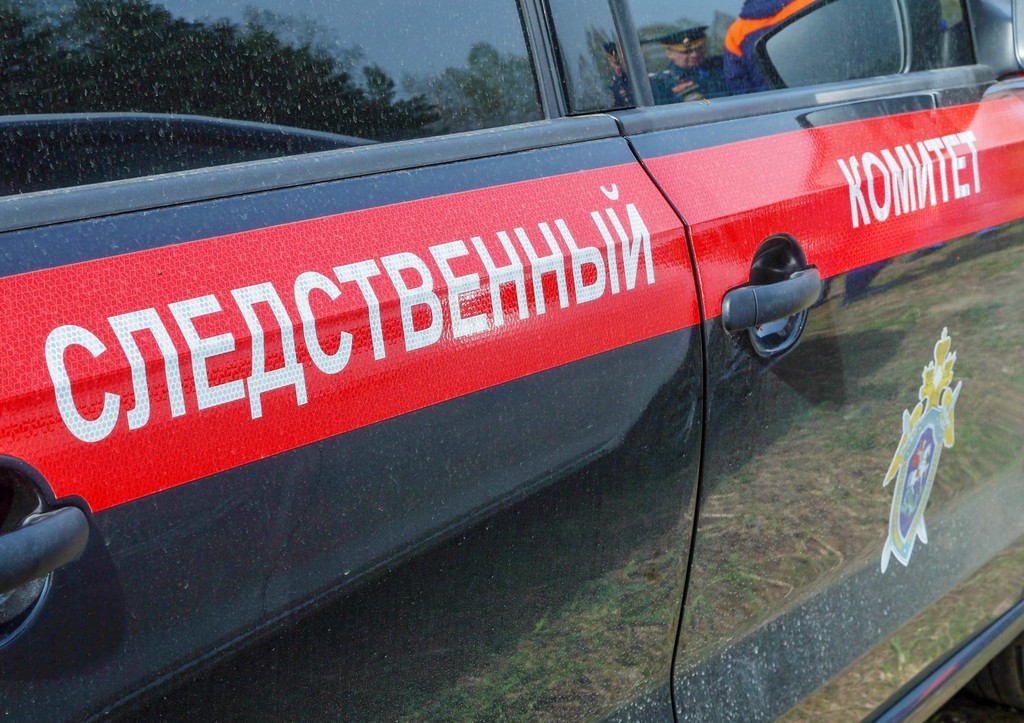 Раскрыто, что может грозить внучке экс-мэра Самары за двойное убийство