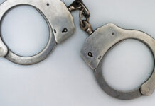 В Махачкале проводится расследование деятельности руководителя дирекции парков 0f47c6f9-6fcb-4c84-bdf2-e92cf05922f2-67f9a7d7