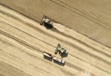 Рекордный рост поставок российской сельхозпродукции в Египет 257a3df5-9891-45aa-acfd-cc4d6d800aeb-67f546ea