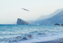 Спасатели оперативно помогли российской туристке после падения со скалы в Анталье 2a114455-42ac-475e-b9e3-8d53bc4d283a-67fa1ded