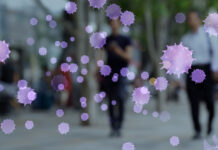 Метапневмовирус – давний спутник человечества 2f842de3-1ee0-455a-a388-5a72a1e46825-680c1cca