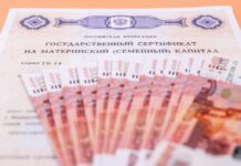 Безопасность материнского капитала гарантирована государством 30d0d86f-2197-41aa-9ea6-df2eae3c4bb8-67f75253