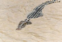 501e1936-c216-411a-b7bb-cda41d748404-67f3d32a