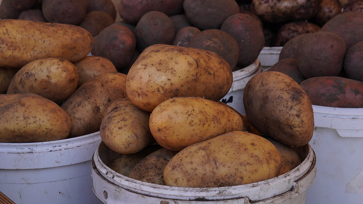 Как отразится на ценах нашествие саранчи