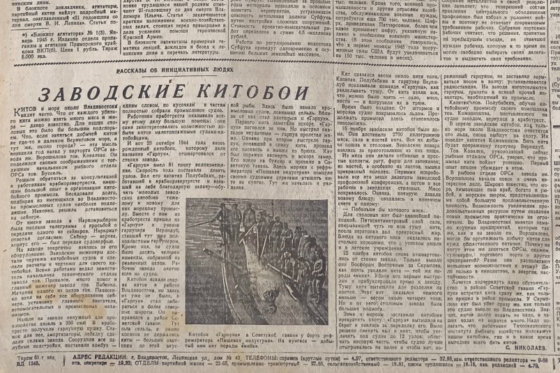 Во Владивостоке наладили промысел китов во время Великой Отечественной войны газета &quotКрасное знамя&quot