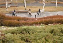 Столичные жители смогут насладиться теплой погодой уже в конце февраля 625a00e6-c139-4003-88fc-e5937cab8eeb-67ffac09