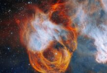 Телескоп Gemini подарил миру уникальный космический цветок 7c571330-2d61-4f28-b6fa-785fa726cc59-68091330