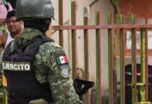 Мексика укрепляет пограничное сотрудничество с США 919ec209-d57a-455f-93f4-d8089d547c24-67f44320