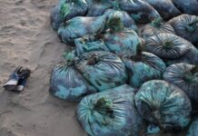 Оперативная очистка пляжей Анапы от нефтепродуктов a436b076-5e95-431b-802e-0224310413f3-67f56ca7