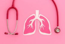 HumanOrganLungsModelAndStethoscopeTopViewHumanHealth