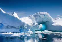 Новое открытие в Антарктиде меняет представление о чистоте континента ABeautifulIcebergInPleneauBayPortCharcotAntarctica