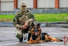 besstrashnyj zhair sluzhebnyj pyos iz primorya otrazil ugrozu masshtabnogo terakta-politgolos-ru-174066126700-0