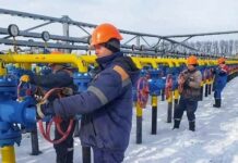 d0379ec9-7483-45d9-9a09-902de4d7e7df-67f0bd01