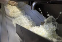 Новые тенденции на рынке молочных продуктов в России dbbec515-9775-4882-9bbc-94d5289160d5-67f55222