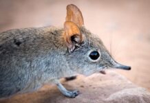 f03ea5a0-5324-40ae-a487-a1578c46a67d-67f195ba