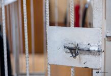 Житель Приморья ответит за демонстрацию пневматического оружия в магазине f1b502c4-32d4-44d7-9de0-ebd4ba12a623-67ffe77c