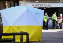 Посол Келин выразил озабоченность отсутствием информации о судьбе Скрипалей f33d4b18-a50a-4186-9227-099e59eaaac0-67fd3565