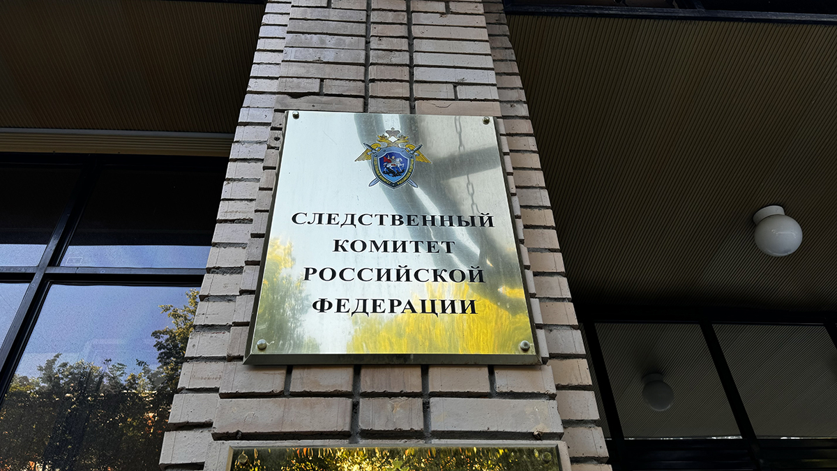 СК возбудил дело после обнаружения младенца на трассе в Подмосковье