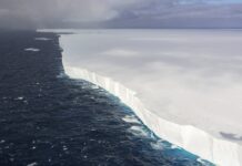 Крупнейший в мире айсберг продолжает удивлять ученых fd408496-90fe-4f05-b0fd-692bb626701e-67f195c7
